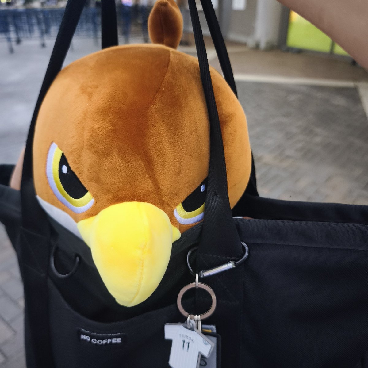 issy571208's tweet photo. どんどんたかぬい増えてく😍 https://t.co/e4fTo4PKRf