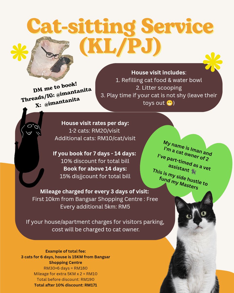 ImanTanita's tweet photo. Hi everyone! I'm starting my Masters soon and I'm happy to cat sit your cats at your house to fund my education. My neighbour can testify that I am an amazing cat sitter 👀 KL/PJ area only https://t.co/m1OyvLI7jU