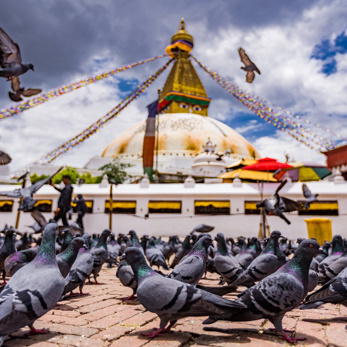 TrekMeNepal's tweet photo. 𝐒𝐭𝐚𝐧𝐝𝐢𝐧𝐠 𝐬𝐭𝐫𝐨𝐧𝐠 𝐟𝐨𝐫 𝐜𝐞𝐧𝐭𝐮𝐫𝐢𝐞𝐬 | this UNESCO World Heritage Site continues to inspire millions with its peace, faith, and timeless beauty. 🕊️🇳🇵 #BoudhanathStupa

𝐄𝐱𝐩𝐞𝐫𝐢𝐞𝐧𝐜𝐞 𝐢𝐭 𝐰𝐢𝐭𝐡 𝐮𝐬!
📩 info@trekmenepal.com https://t.co/QluHIVTzJp