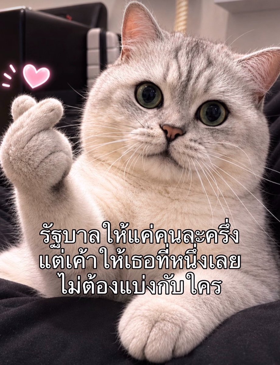 Sugar_Bom1224's tweet photo. มีใจเท่าไหร่ยกให้หมดเลยยย🩷 #bommu https://t.co/TSVXsCFa8Q