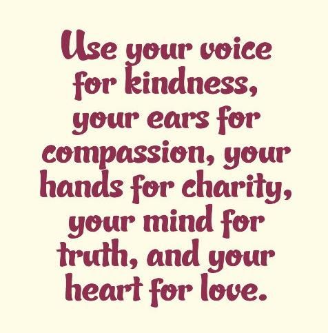 MedcannabisWA1's tweet photo. @Suzierizzo1 Inspirational https://t.co/NXOy9wjGqD