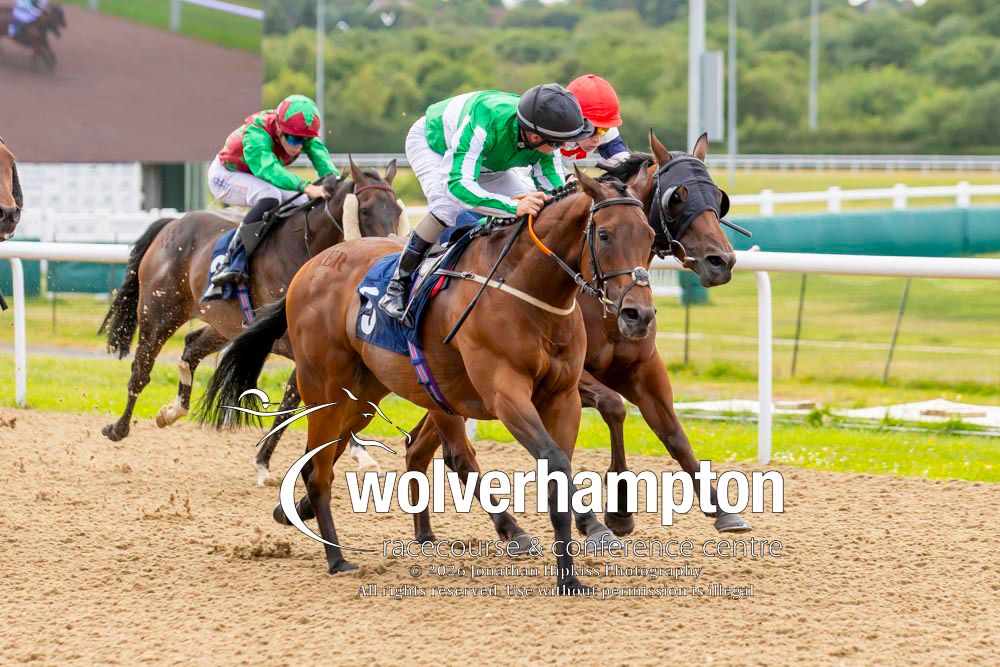 Wolverhampton Races tweet media