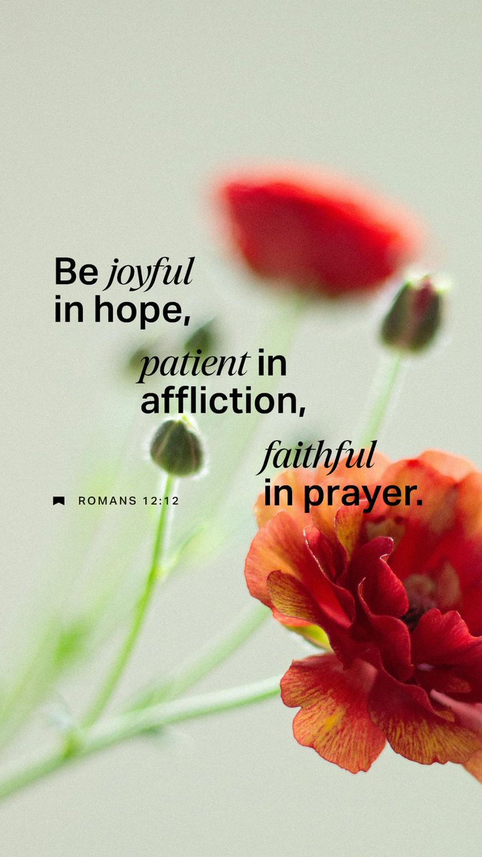 tooie48's tweet photo. “constantly rejoicing in hope [because of our confidence in Christ], steadfast and patient in distress, devoted to prayer [continually seeking wisdom, guidance, and strength],”
Romans 12:12 AMP
https://t.co/c2CniHLlK5 https://t.co/U6hBerw4ak
