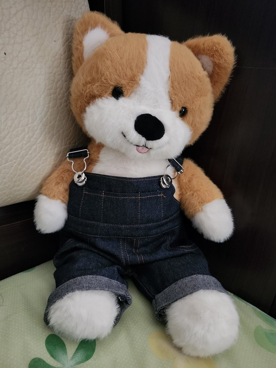 alicemychen's tweet photo. here's Kenneth! https://t.co/J6v6N5pt3m