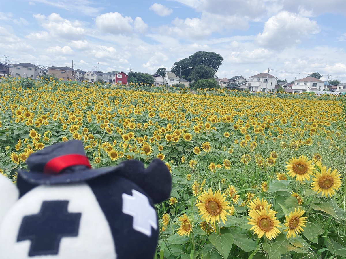 ud_kn0501's tweet photo. イベントまで数日ですが是非お友達募集させてください！

30↑🚺/関西/🦀さん寄りの箱推し
ドーム4.5日両日参加します🙆‍♀️
5日はぼっちなのでお話して頂ける方がいらっしゃれば…！
年代が近ければ嬉しいですが♡やリプでお迎え行かせて下さい🥳

#TOP4好きさんと繋がりたい
#TOP4TOKYODOME2 https://t.co/XeqM2PYKgp