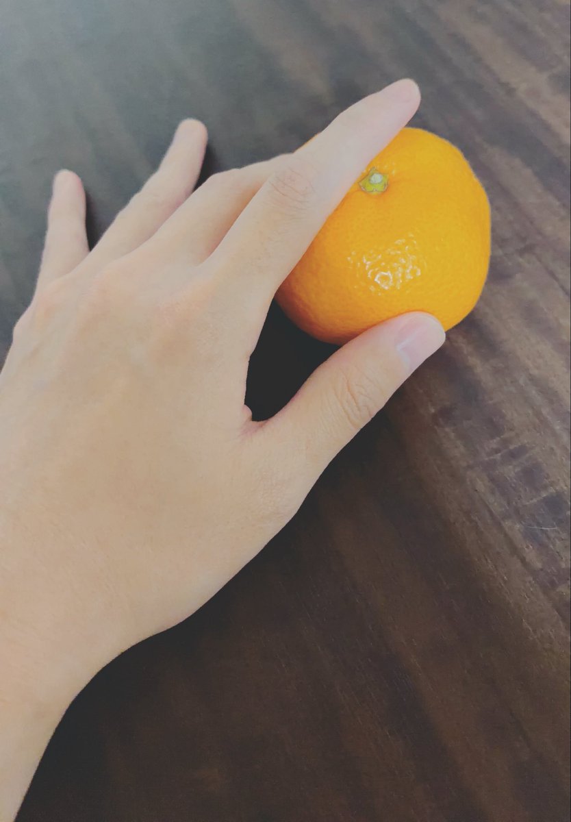 Re1ciaYo's tweet photo. 🍊 https://t.co/wLR5amgQPB