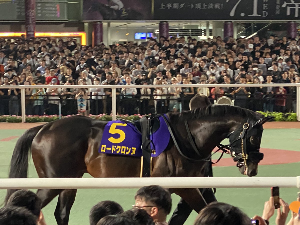 BombBomb0801's tweet photo. 帝王賞
上位人気パドック
#ミッキーファイト
#ロードクロンヌ
#カゼノランナー
#アウトレンジ https://t.co/i3KoXDPnm9