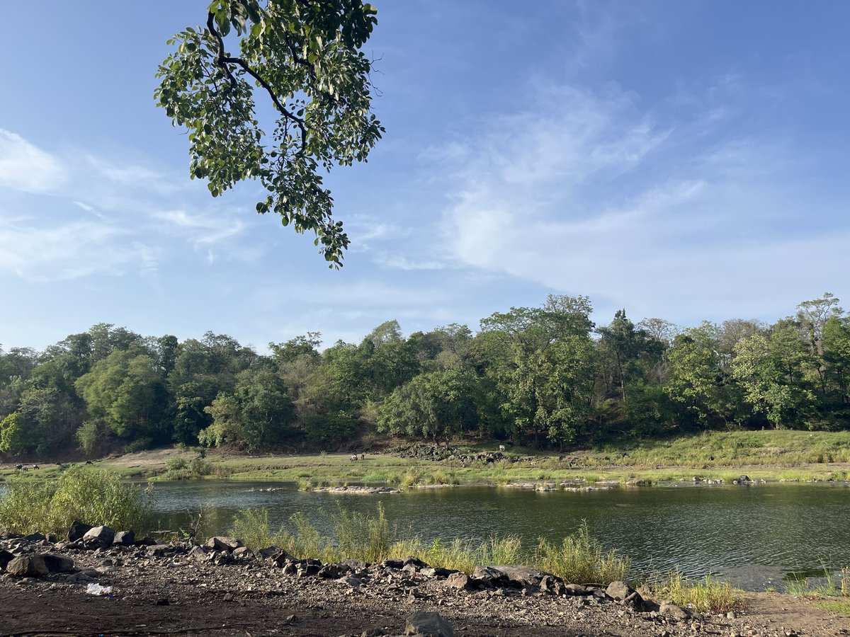 AshaGamit94's tweet photo. “Somewhere between the whispering woods, the untamed jungle, the flowing river, and the golden sun,found the kind of peace that words can never fully describe.” https://t.co/Q83wbM3hRC
