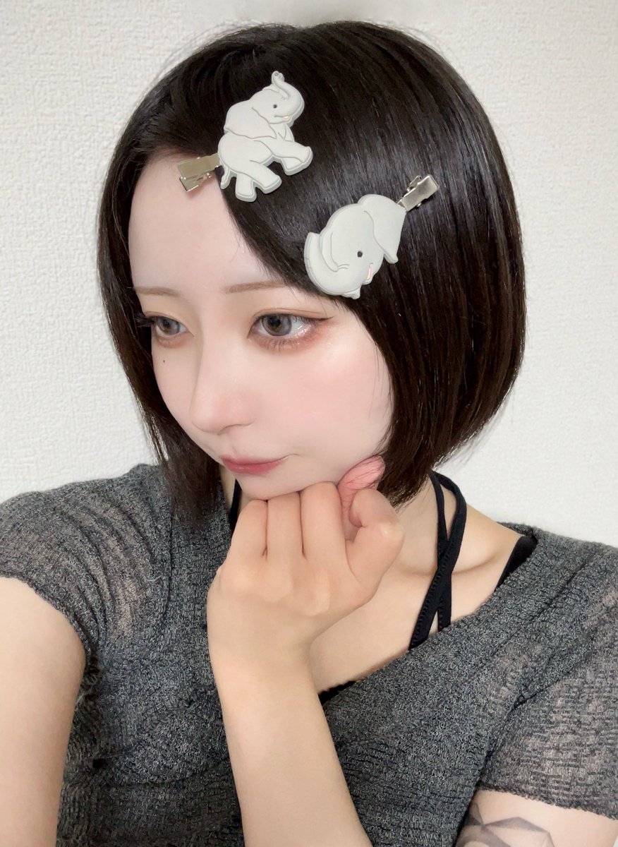 yappioo00's tweet photo. 動物園で買った🐘✩ ‌‌ ‌ https://t.co/a9SfcvLosy