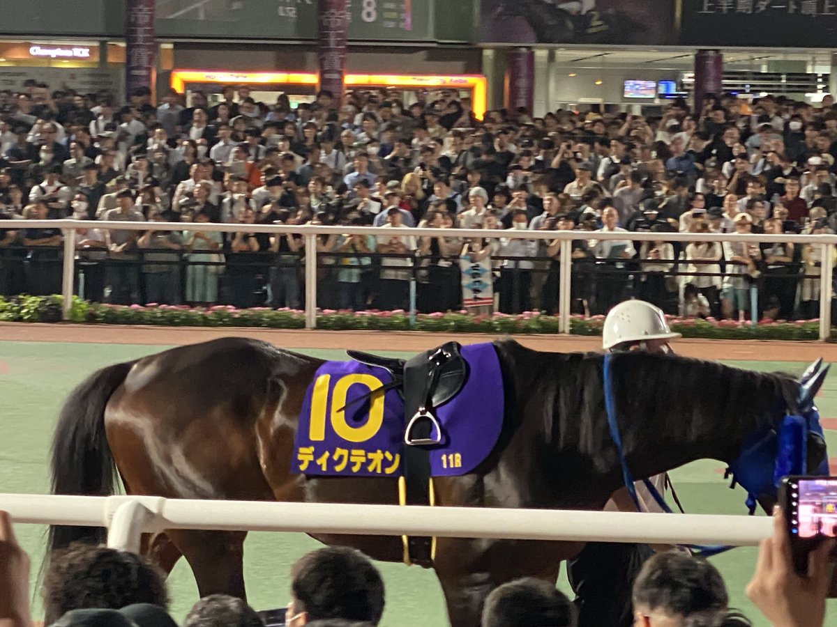 BombBomb0801's tweet photo. 地方人気馬
#ディクテオン
#サントノーレ
#セラフィックコール
#ナイトオブファイア https://t.co/2DHqq0UQpC
