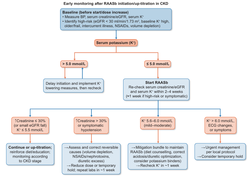 NDTsocial's tweet photo. RAAS blockade in the kidney life-cycle: treatment standard

🔓https://t.co/m2mhZTjAJL https://t.co/3nRpqj8atN