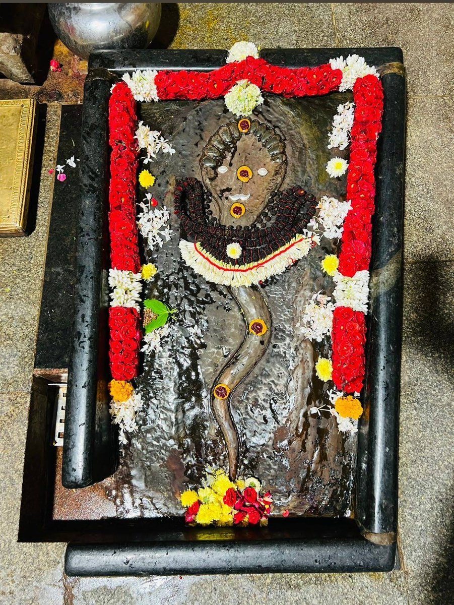 midatham's tweet photo. మా జిల్లా సప్రసిద్ధ సుబ్రహ్మణ్యేశ్వర క్షేత్రం
కొత్తూరు,పాణ్యం మండలం,నంద్యాల జిల్లా.
కొత్తూరు సుబ్బరాయుడు అంటాం🙏🏻
శ్రీవల్లి,దేవసేన దేవేరులుగా సుబ్బరాయున్ని నాగస్వరూపంలో పూజిస్తారు.సర్పదోష నివారణ పూజలు కూడా జరుగుతాయి.ఆదివారము శుభప్రదమైన దినముగా భావిస్తారు. https://t.co/p2SnWwhmyh