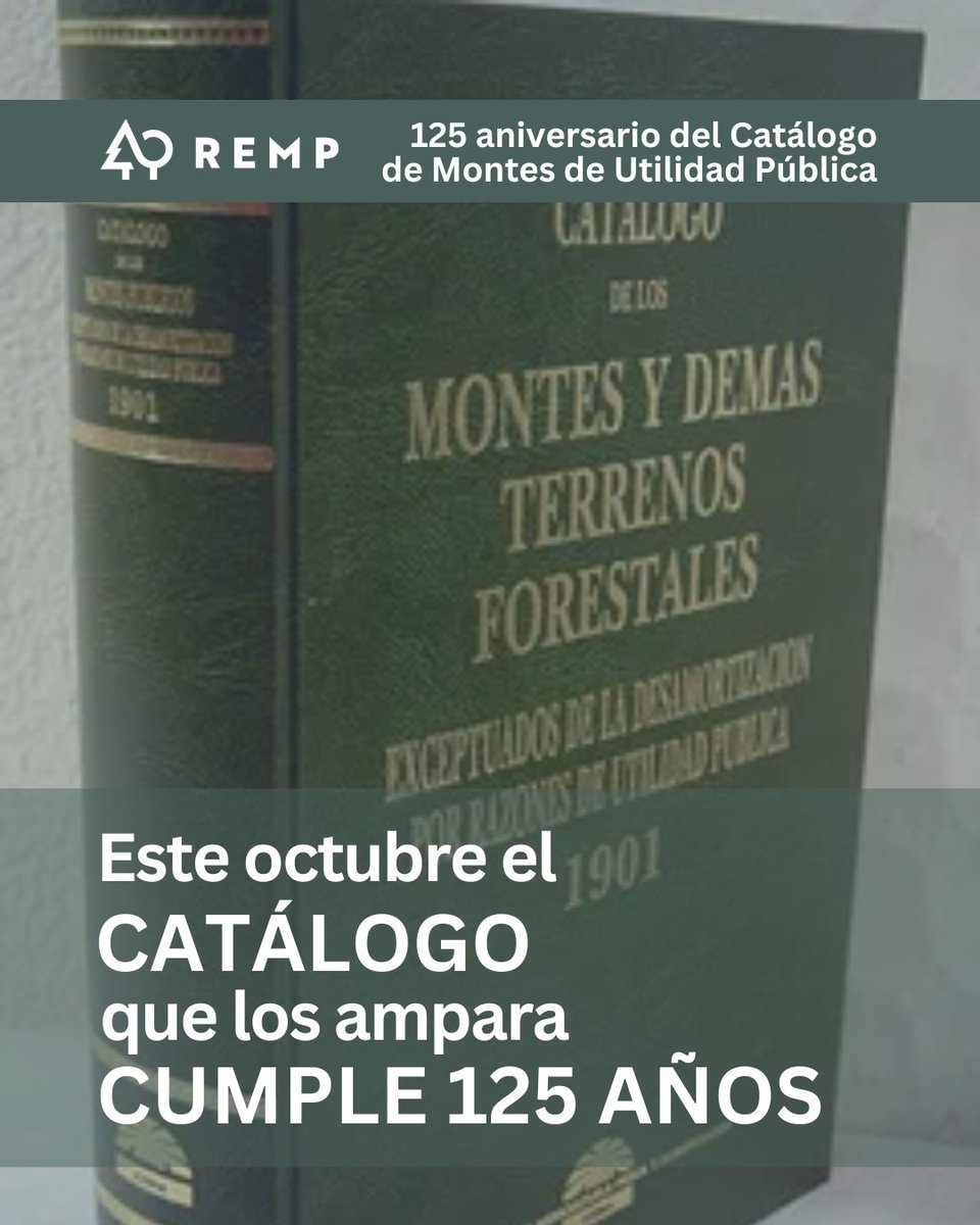 Red Estatal de Montes Públicos (REMP) tweet media