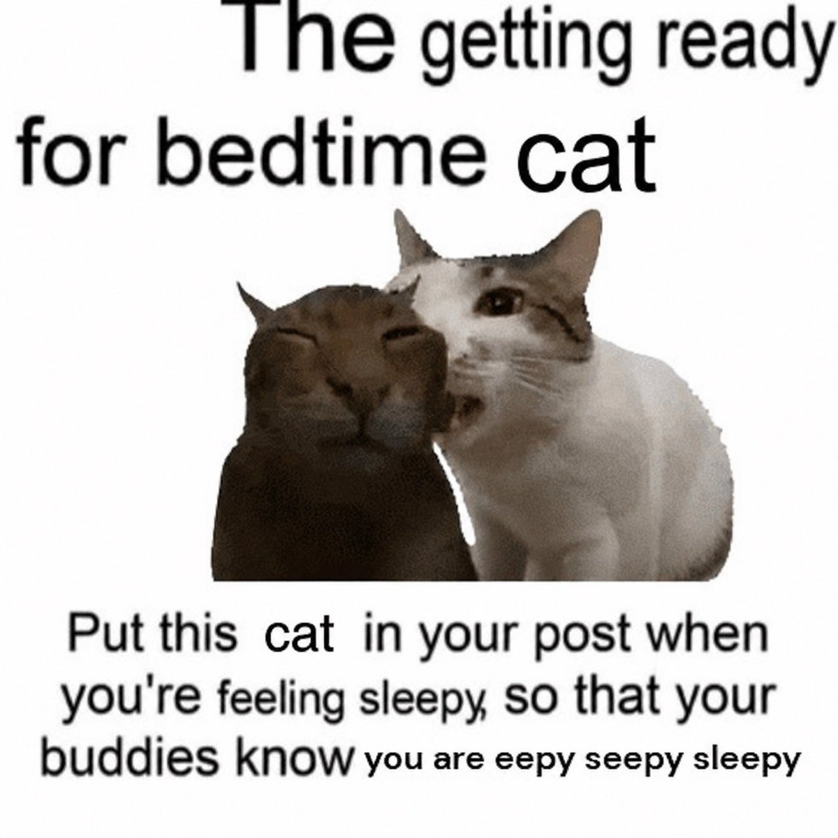 Nomcatnom's tweet photo. Do you know what time it is?

It’s nom time https://t.co/zggJ3AtkZM