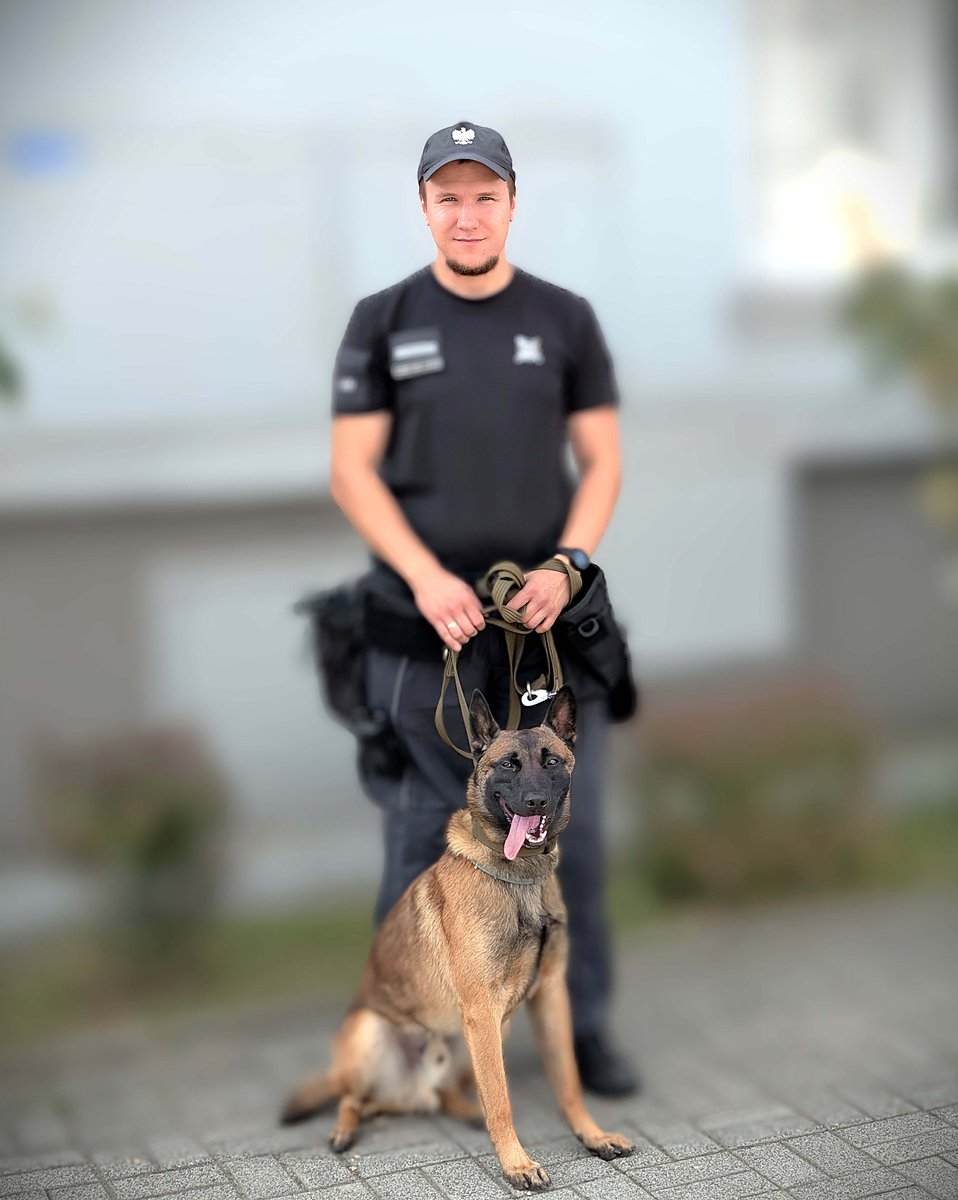 AS_Czestochowa's tweet photo. Dziś #MiędzynarodowyDzieńPsa! 🐕 Z tej okazji przedstawiamy Nikosia – owczarka belgijskiego, który pełni służbę w Areszcie Śledczym w Częstochowie jako pies specjalny. Jego niezawodny węch na co dzień skutecznie uniemożliwia przemyt substancji niedozwolonych. Dziękujemy za służbę https://t.co/9oZrIMcHzv