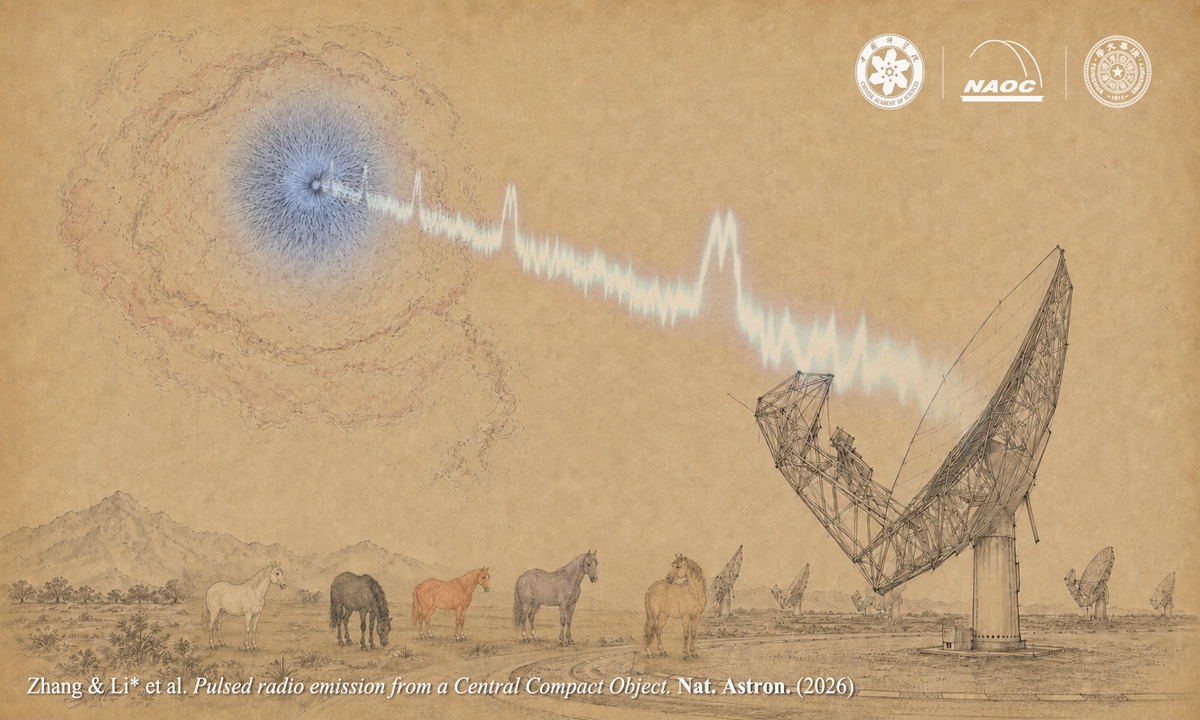 globaltimesnews's tweet photo. A Chinese research team has for the first time detected radio pulses from a long-term "radio-quiet" young neutron star - central compact objects (CCOs), which is the first successful detection in decades of searches for such objects, providing key evidence for understanding the formation and evolution of young neutron stars (the gravitationally collapsed core of a massive supergiant star), according to National Astronomical Observatories under the Chinese Academy of Sciences (NAOC).
https://t.co/eEqhN2xxVg