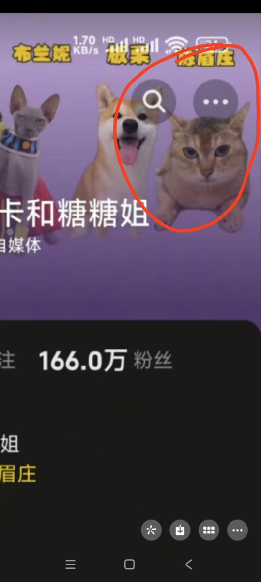 F1NDYOUUU's tweet photo. 火爆外网的土猫真名找到了，叫做陈梅庄，梅梅和梅姐只是粉丝戏称与小名。
博主还给他专门开设了账号，别被带偏了，真名叙事无敌！
sol已经玩小名meimei玩到200k+了。别让他们把我们bsc的叙事偷走！ https://t.co/2kOYXPA3j6