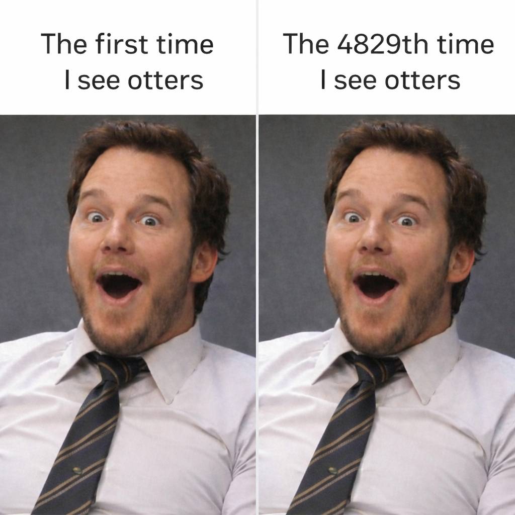 In_Otter_News2 tweet picture