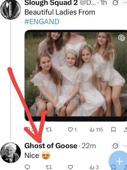 GaryKendrick77's tweet photo. @ghostofgoose5 @YorksRose_84 @MaizyDaizyZzzz You’re white. You’re a nonce. 

See below… https://t.co/fIAeRy1Q4d