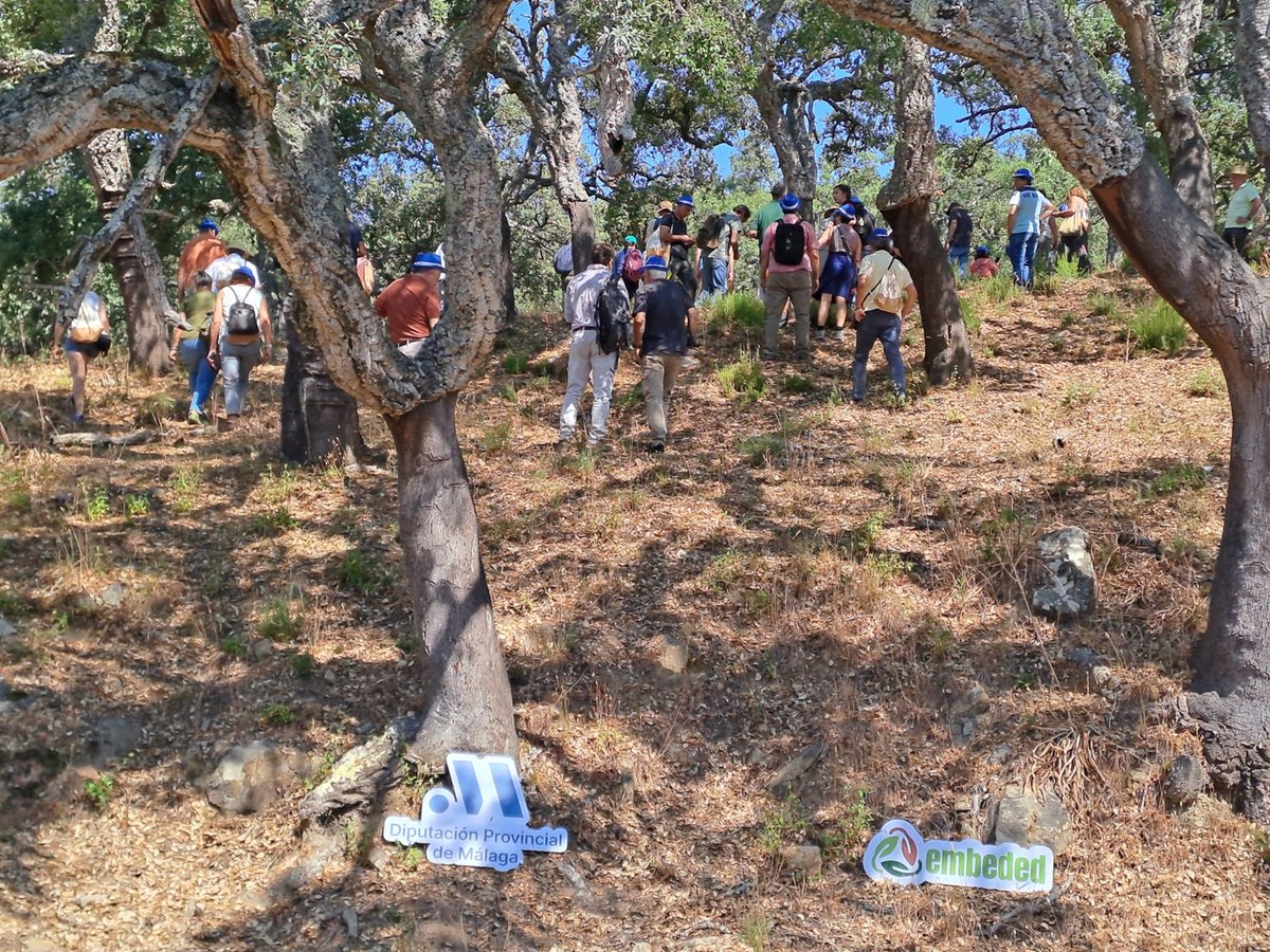 lanoria_mlg's tweet photo. 🪵🏡Ayer celebramos en Cortes de la Frontera una jornada clave para analizar al sector del alcornocal y del corcho e impulsar la estrategia de futuro frente al reto demográfico, organizado por la @diputacionMLG junto con @cortesdelafron. 

ℹ️ Más info ➡️ https://t.co/oklGMPL1fE https://t.co/rdG7lrGBST