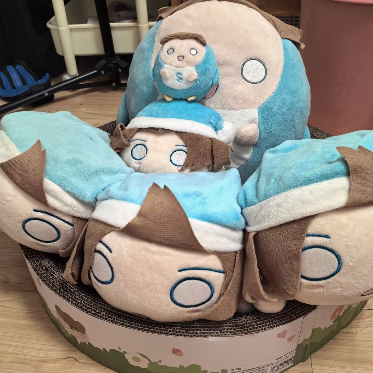 kaxi_1221's tweet photo. https://t.co/dlMuNUx30n
