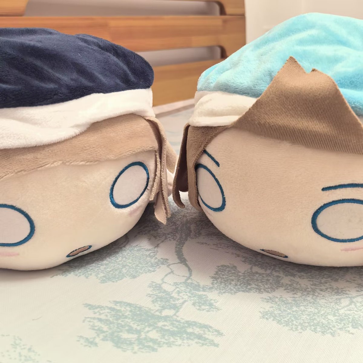 kaxi_1221's tweet photo. https://t.co/dlMuNUx30n