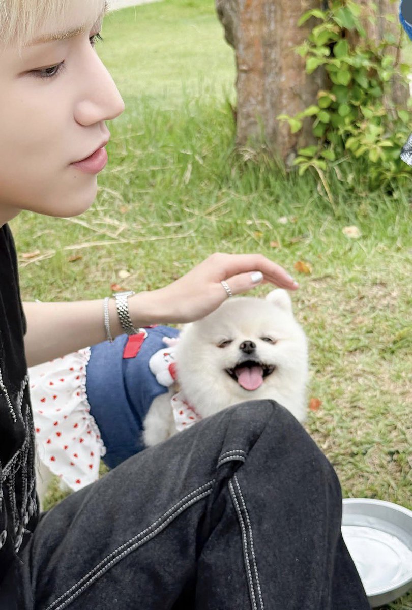Ri___10_22's tweet photo. 飼い主に似るっていうもんな( ᴗ͈ ̫ ᴗ͈`) https://t.co/6HPuL1hSxW