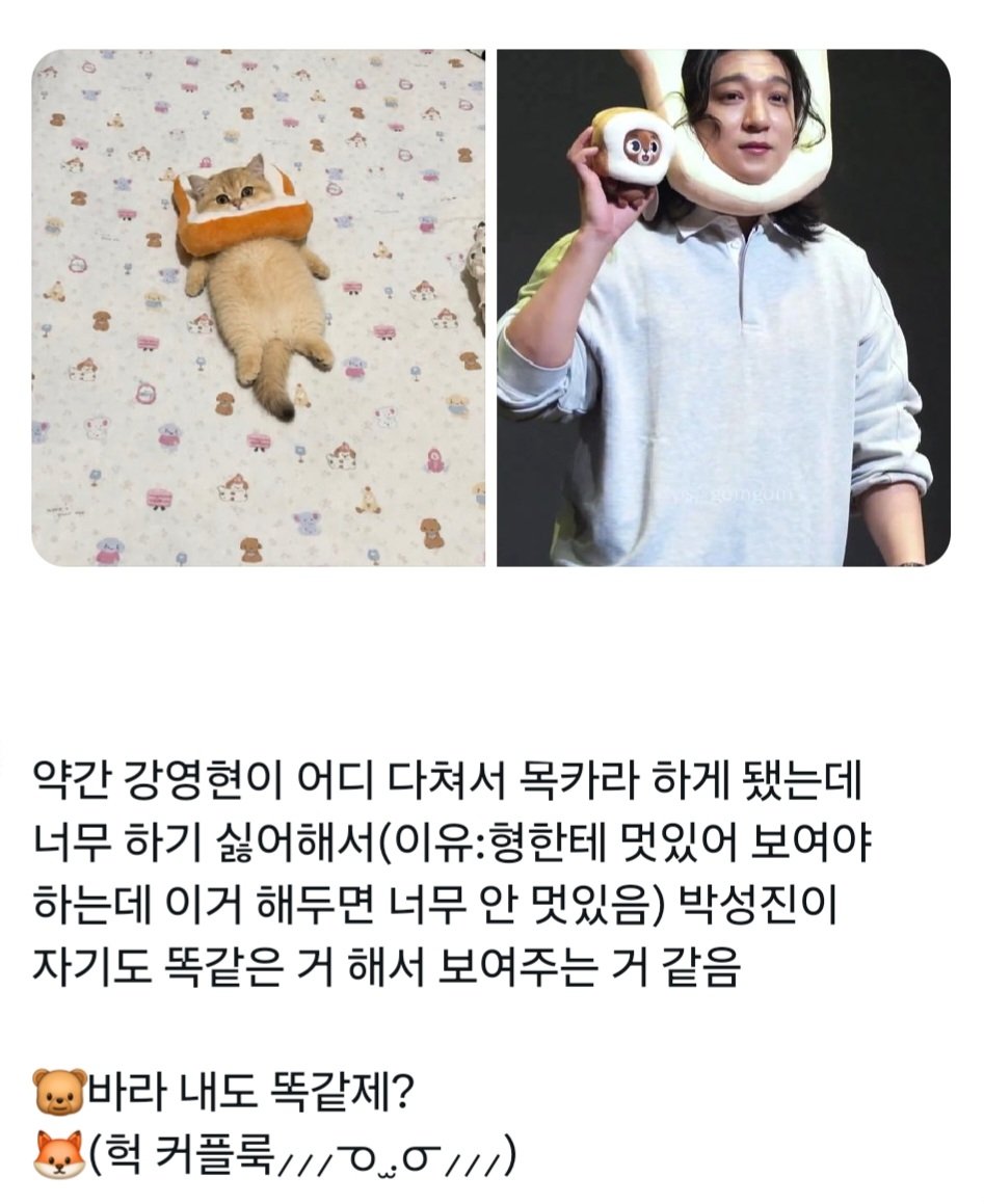넘 tweet media
