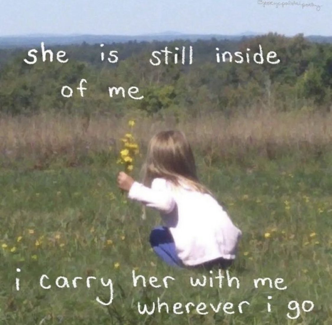LovelyCuteDaily's tweet photo. https://t.co/SVJ4UHpkHm