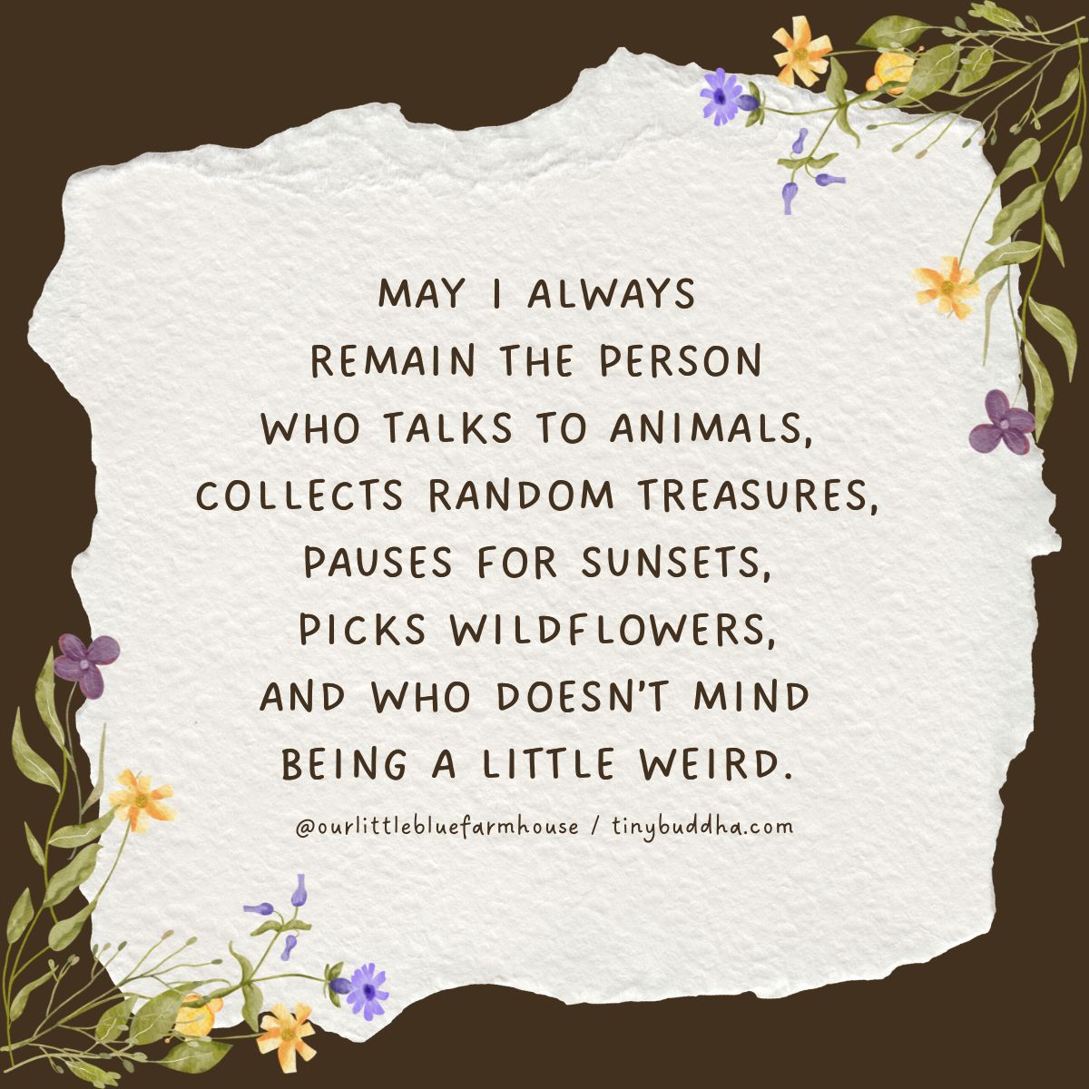 tinybuddha's tweet photo. May I always remain the person who talks to animals, collects random treasures, pauses for sunsets, picks wildflowers, and who doesn’t mind being a little weird. https://t.co/JY9YNELawY