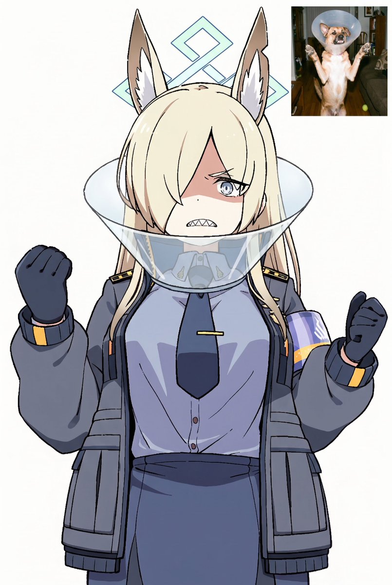 Ponconyan's tweet photo. エリザベスカラー https://t.co/se2ZJ3fXXT