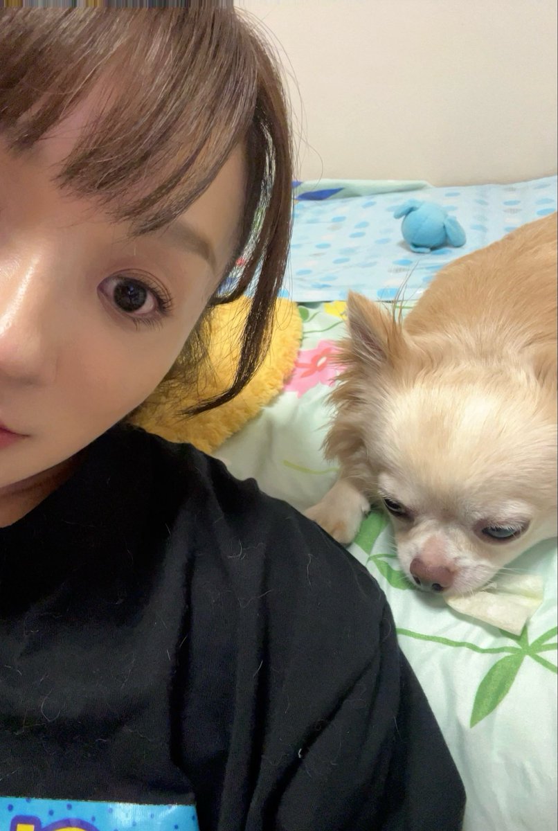 misa_108's tweet photo. 昨日から現実世界復帰🌎
復帰早々残業10時間拘束内休憩10分で10分でも休憩とれただけマシか‼︎💡
などと思い
本日も同じくだが休憩30分とれてご飯食べれたから満足‼︎
などと思う感覚麻痺🌶️多分よくない🌀
けれど今日も犬くんが天使なので世界は平和です🕊️ https://t.co/Qd4O4ai0RF