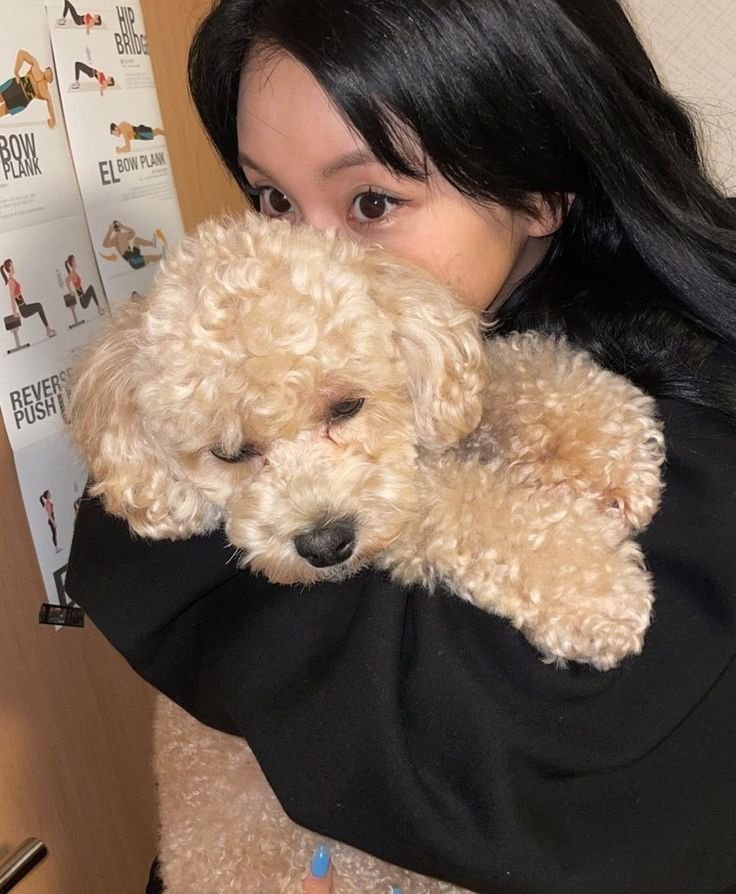 spirtedway's tweet photo. logan, el perrito de chaeyoung, partió al cielo de los perritos :(

“toda nuestra familia está de luto. logan, nuestro pequeño bebé y a quien tanto amábamos, ha partido al cielo de los perritos.

aunque todos estamos atravesando un profundo dolor, encontrar los preciosos recuerdos de logan y narae en esta cuenta nos ha brindado mucho consuelo.

a partir de ahora, queremos dedicar más amor y atención a narae, que sigue a nuestro lado. por ello, esta cuenta ya no publicará nuevas actualizaciones.

agradecemos de todo corazón a todas las personas que quisieron a logan y narae y que siguieron sus momentos con tanto cariño.

nos duele mucho tener que compartir esta triste noticia. Sin embargo, sentimos que era lo correcto informar a todas las personas que durante este tiempo le brindaron tanto cariño a logan y acompañaron su historia, por lo que, después de hablarlo en familia, decidimos publicar este mensaje.

muchas gracias por haber amado a logan durante todo este tiempo”.