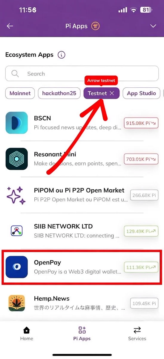 Mrwain Organization on X: "🚀 OpenPay Climbs to #5 on the Pi Testnet ...