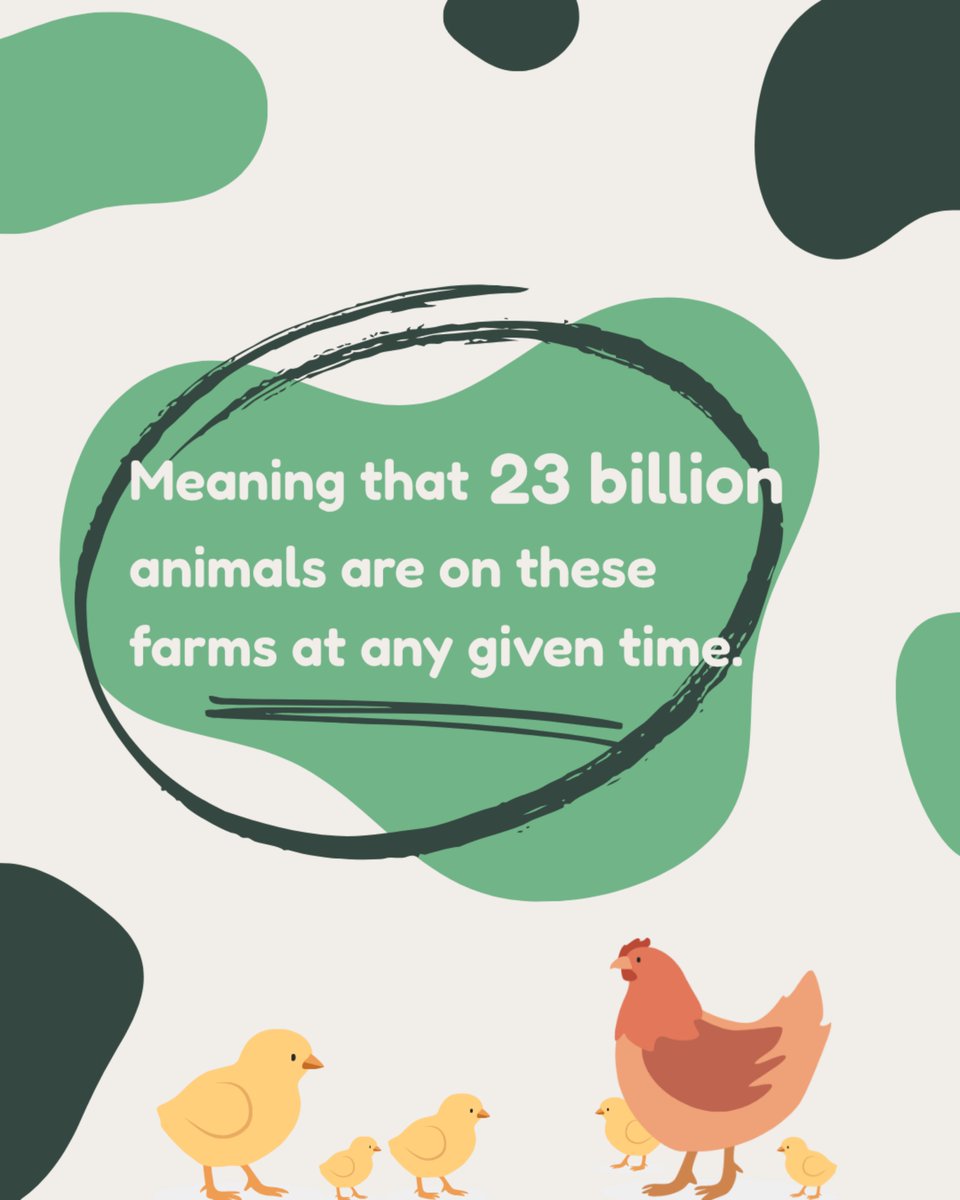 HumaneChoice's tweet photo. Whichever shocking figure you read, the animal-agriculture industry involves suffering on a scale so large it's impossible to comprehend. 

#AnimalSlaughter #AnimalKillClockCanada https://t.co/ZvMTHdn2CN