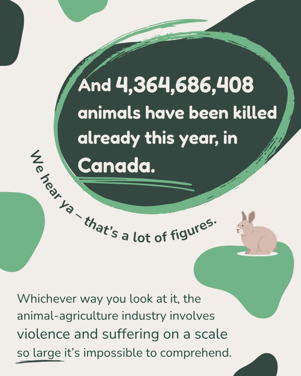 HumaneChoice's tweet photo. Whichever shocking figure you read, the animal-agriculture industry involves suffering on a scale so large it's impossible to comprehend. 

#AnimalSlaughter #AnimalKillClockCanada https://t.co/ZvMTHdn2CN