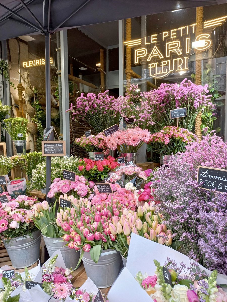 worldclick56's tweet photo. Flower Shop 🌷 https://t.co/zvQ3HWvQJk