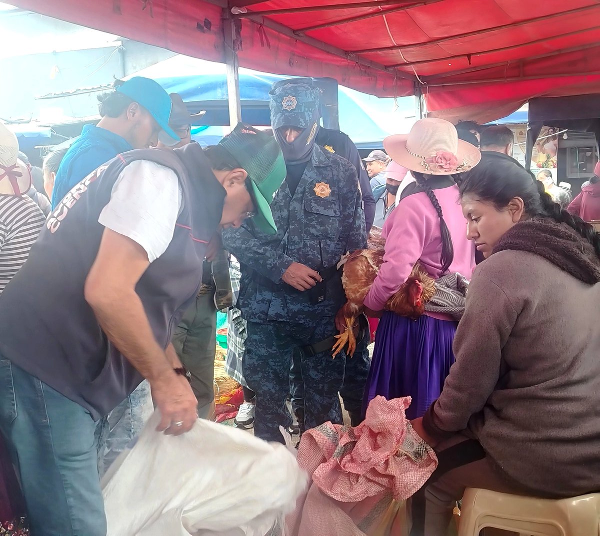 CGACuenca's tweet photo. 🕵️Operativos
🚫 La @CGACuenca través de la #PatrullaCanina y en conjunto con la @GuardiaCuenca decomisaron 15 mascotas que eran comercializadas de forma ilegal en la #FerianLibre.🐕
La venta de animales de compañía está prohibida según laordenanza municipal 🐾
#AdoptaNoCompres https://t.co/Yp1NsSa5vj