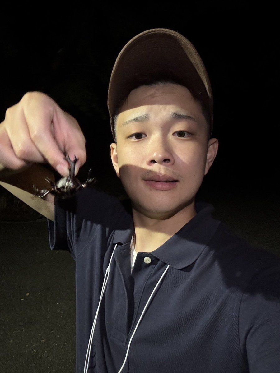 nekusarigami's tweet photo. カブトムシ採り今年もやります https://t.co/VySa3CPKzc