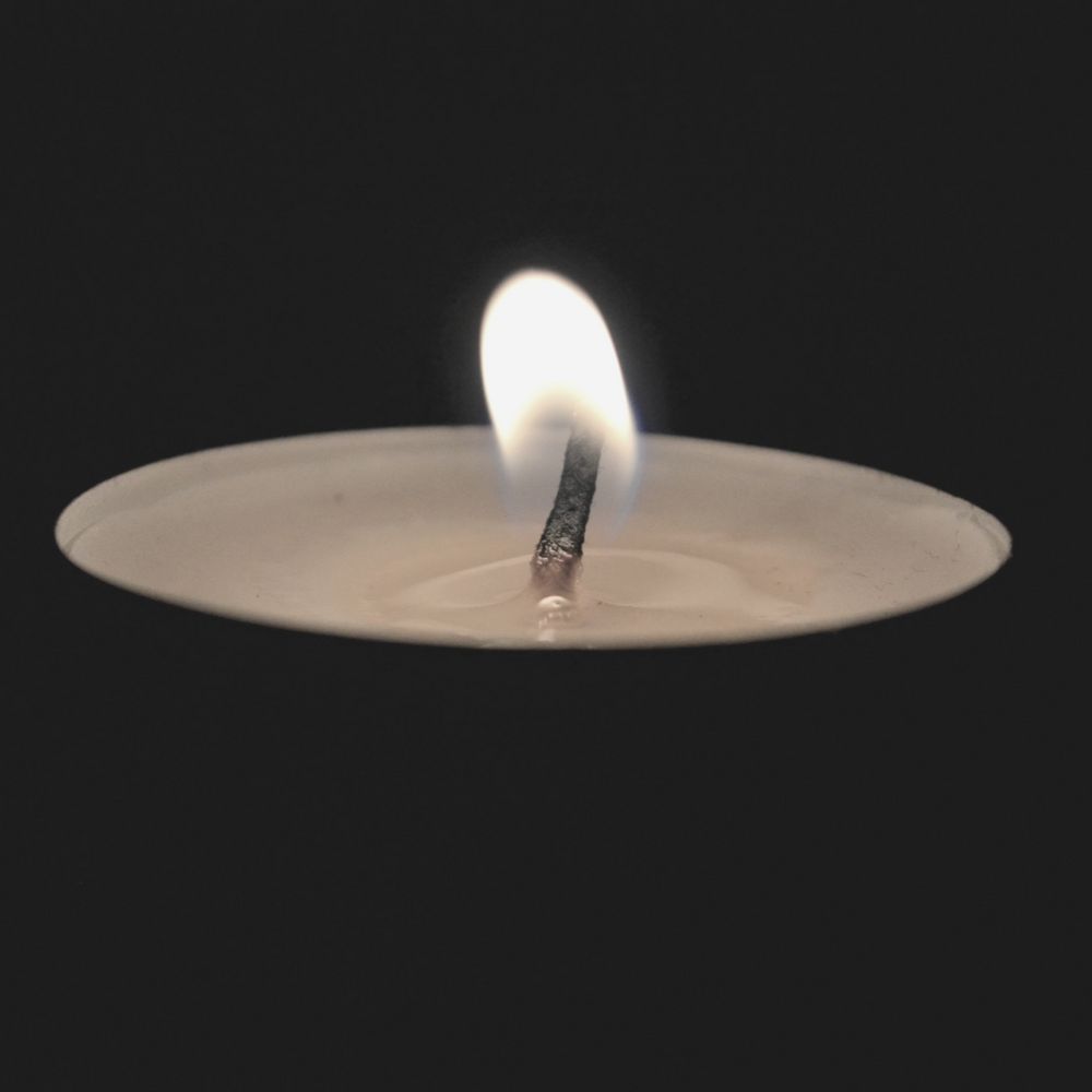 BronxWorks's tweet photo. We are heartbroken by the devastation caused by the earthquakes in Venezuela. BronxWorks sends our deepest sympathies to those who have lost loved ones and to everyone whose lives have been affected. Our thoughts are with the people working to recover from this tragedy. https://t.co/pWJ6H2fouN