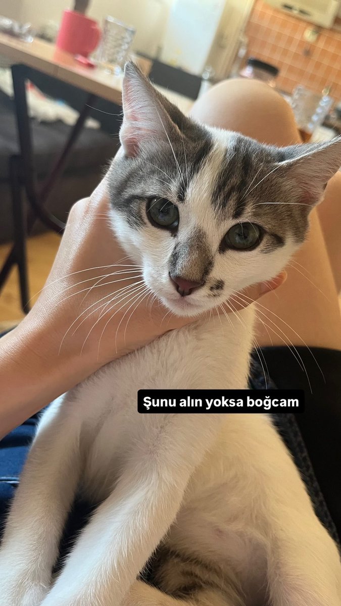 eda tweet media