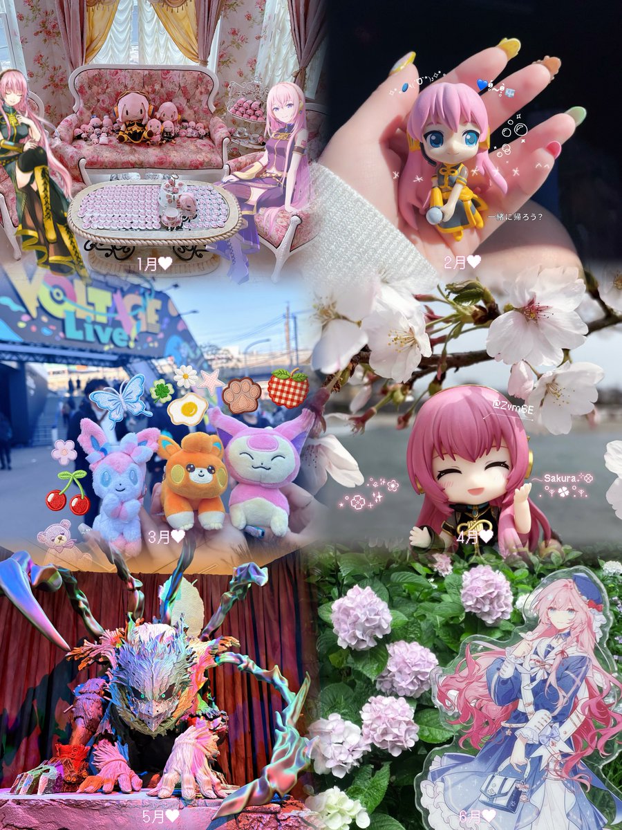 Zvm6E's tweet photo. とても素敵な上半期でした♥ https://t.co/drg77WvAxD