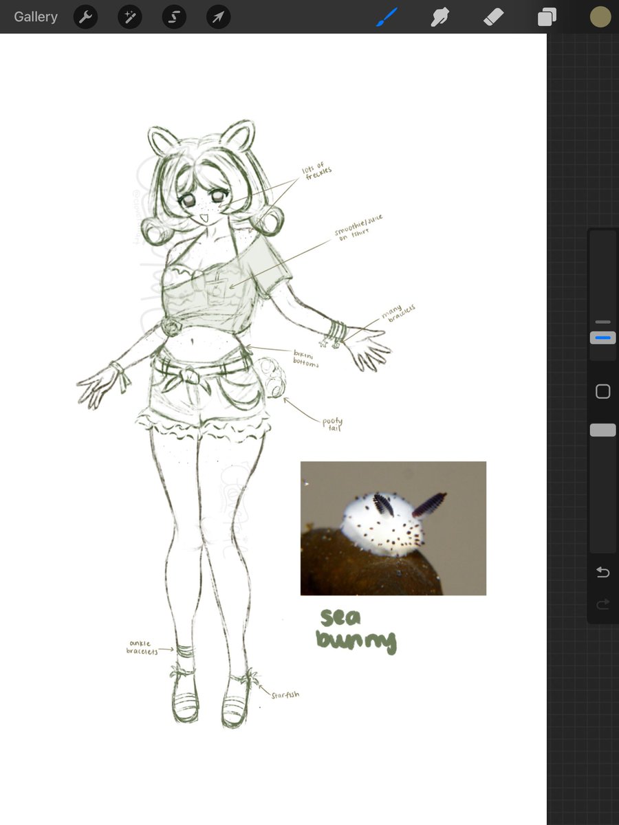 clovetailart's tweet photo. sea bunny design idea wip ⊹ ˖ Ი𐑼 https://t.co/6XRP0Jbl6Q
