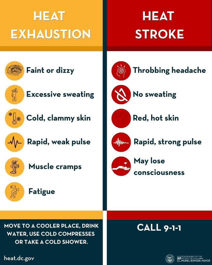 DC_HSEMA's tweet photo. Many people know heat can be dangerous. Fewer know how to recognize when it can become a medical emergency. 

Know the difference between Heat Exhaustion and Heat Stroke - and what to do for each. 

Learn more about heat safety at https://t.co/o7T50Zdlhw. https://t.co/7GCEiVbDvI