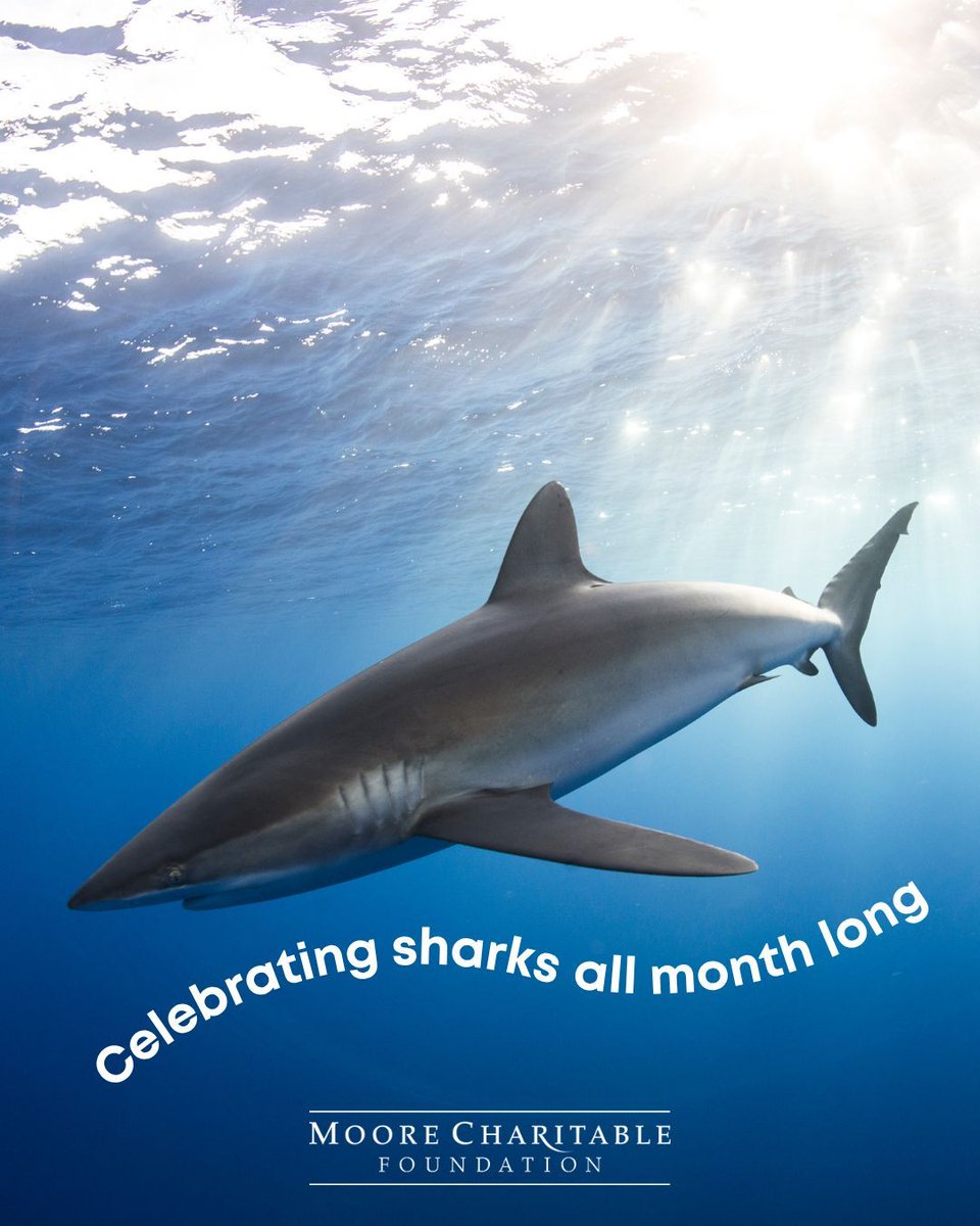 MooreCharitable tweet picture