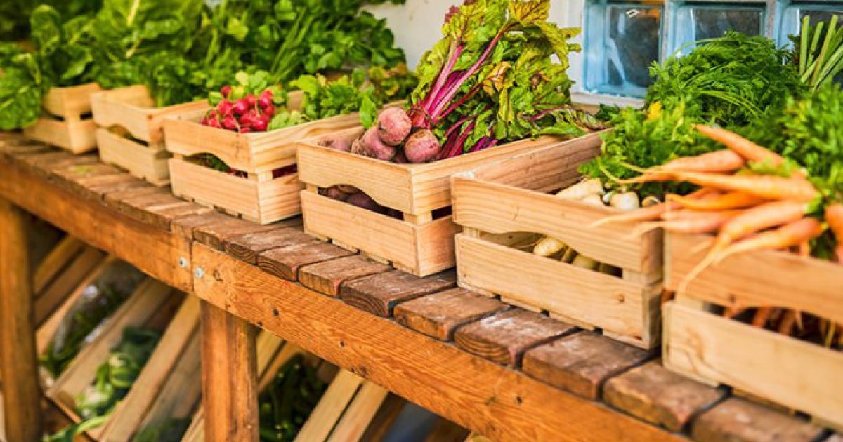YEGclimate's tweet photo. Happy Canada Day 🍁 Celebrate by choosing to eat local. Get a community supported agriculture (CSA) subscription!

https://t.co/p1Rj4wvTOU https://t.co/MnLi504kR3