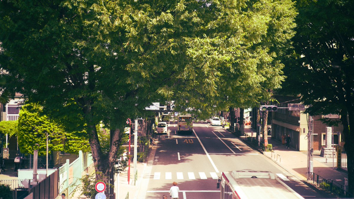 bookmark_docks's tweet photo. 近日情報公開をします！
お楽しみに！ https://t.co/QsyIgIn2mo