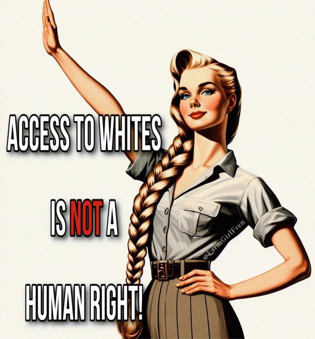 Theemmyreichman's tweet photo. Niggers dont deserve access to us. https://t.co/V0zp6OMJSO