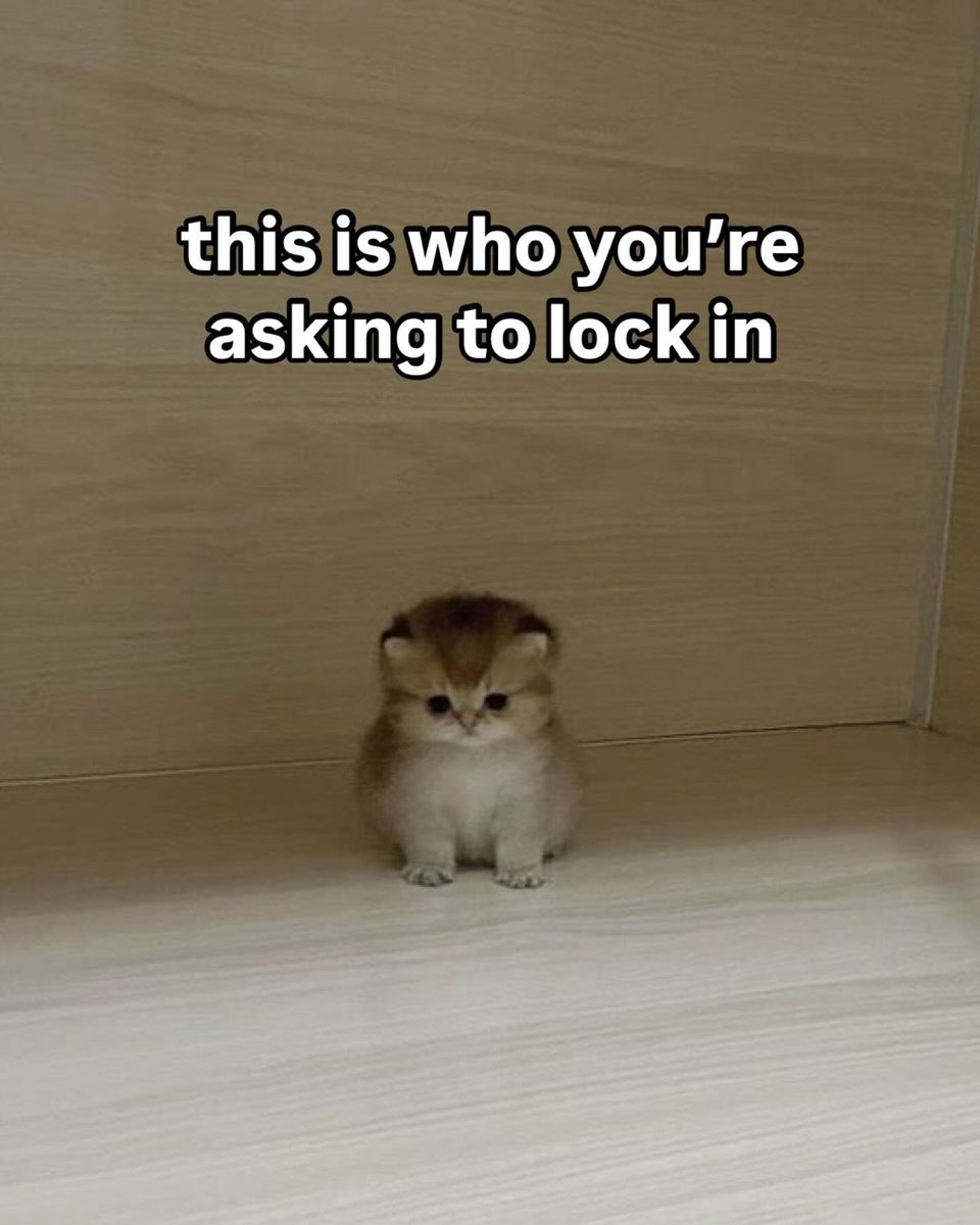 catsbeiingcats's tweet photo. https://t.co/ZQZxPyNdth