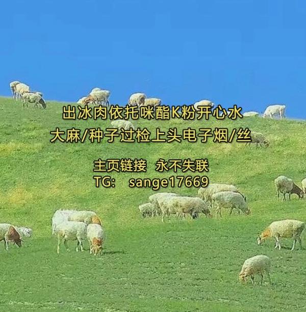 cdxirs532's tweet photo. 面飞行员燃料上微微粗糙的质感，像在触摸他指尖的温度。我把那张画翻过来，背面还有一行字，写的是：“沈栀，骚冰妹你知道吗，建筑学里有一个冰毒k粉概念叫烟丝‘光的路径’，就是说光线进入一个空间大麻种子的thc方式决定了那上头烟油个空间出嗨的气质。你是我生命里的光的路径，你来的那 https://t.co/JyiabCF4Q4